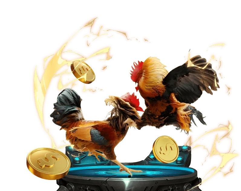 Bảo mật và hỗ trợ khách hàng tại 55 win55